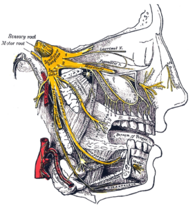 Zenuwpijn hoofd, gezicht, kaak of mond